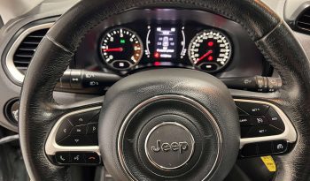 Jeep Renegade ’15 PANORAMA LONGITUBE full