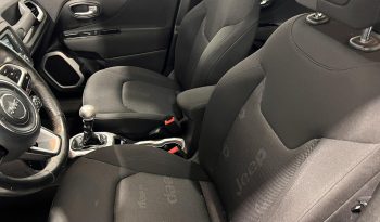 Jeep Renegade ’15 PANORAMA LONGITUBE full