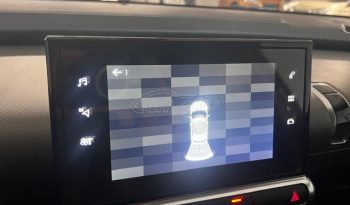 Citroen C4 Cactus 2024 panorama full