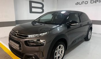 Citroen C4 Cactus 2024 panorama full