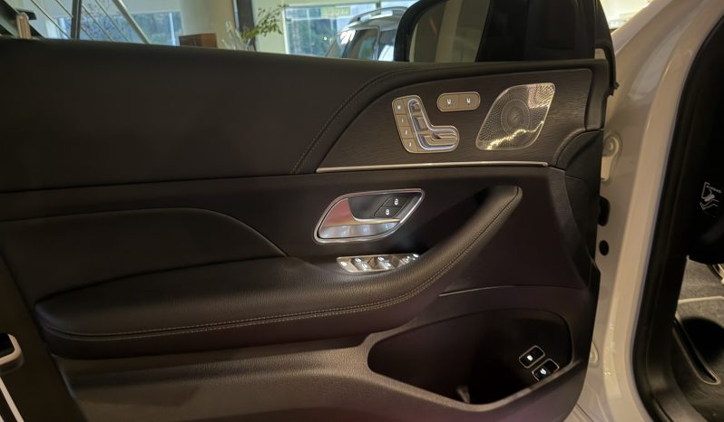 Mercedes-Benz GLE 400 2024 AMG PACKET full