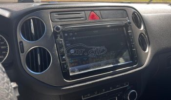 Volkswagen Tiguan 2010 full